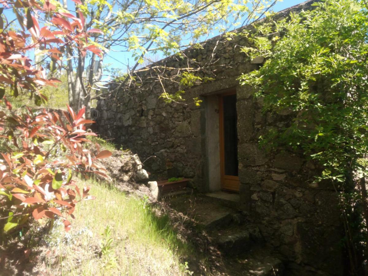 Les Gites Du Mazel Champis Exteriör bild